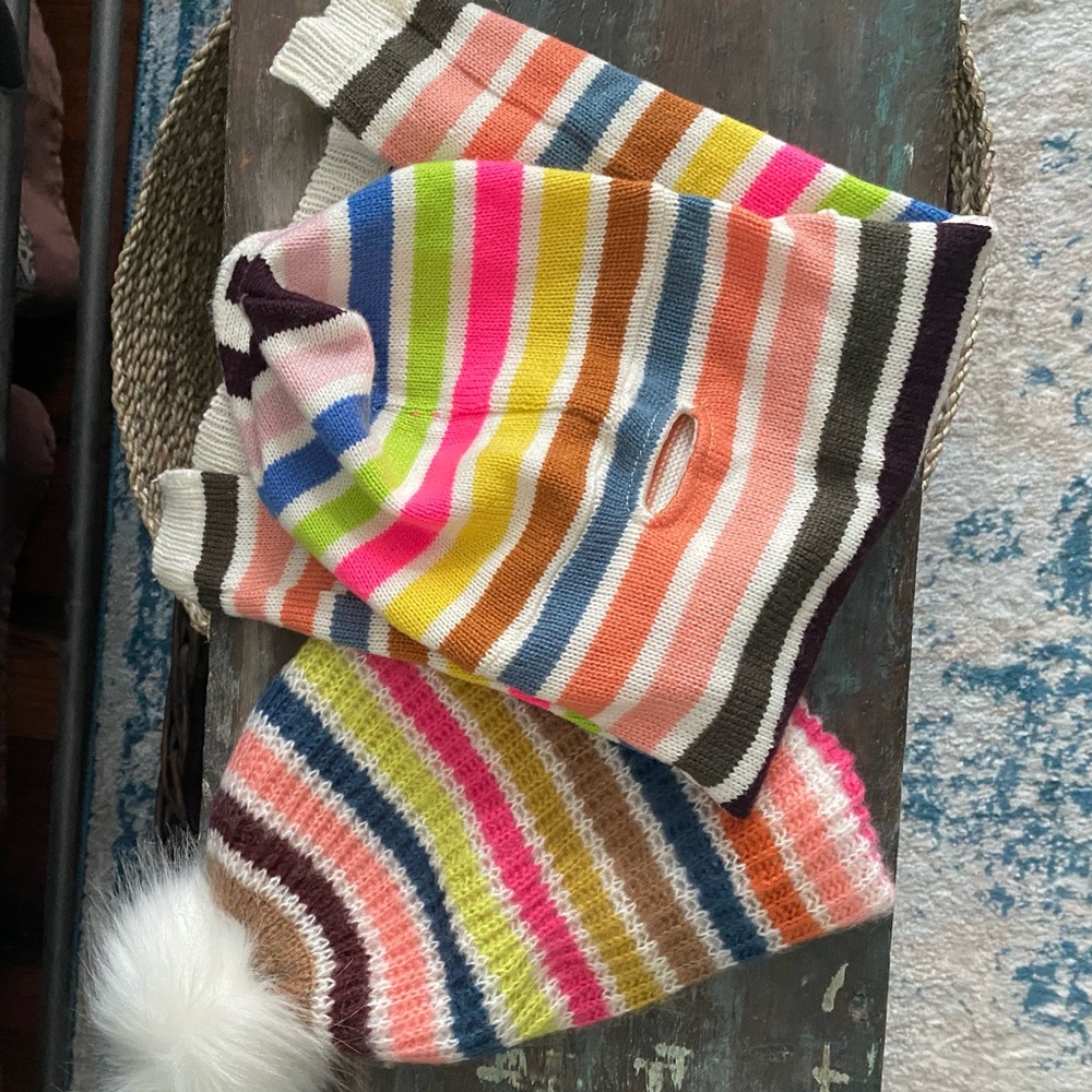 GAP Dog Multi-Colored Striped Sweater with matching owner hat- EC